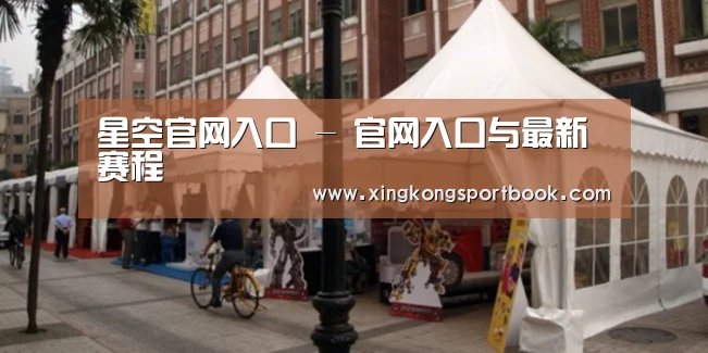 案例标题九